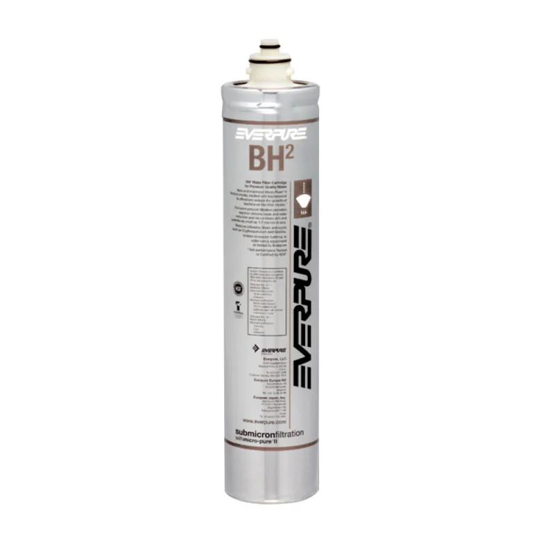 BH2 EV9612-50 Everpure filtro de Cartucho Carbón en Bloque