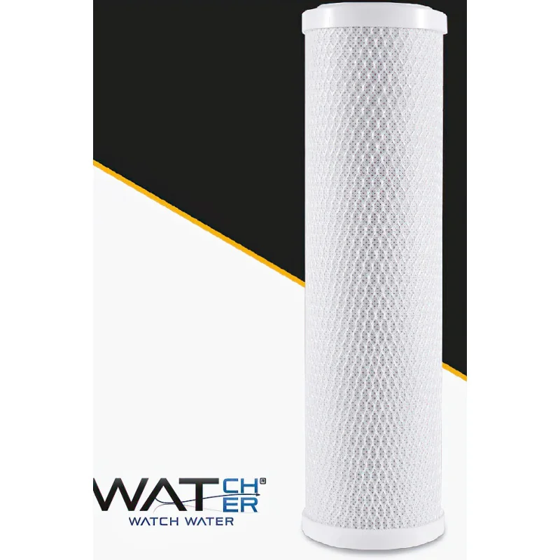 Cartucho CARBONBLOCK-TS3 Carbón Activado y TITANSORB 2.5" x 10"