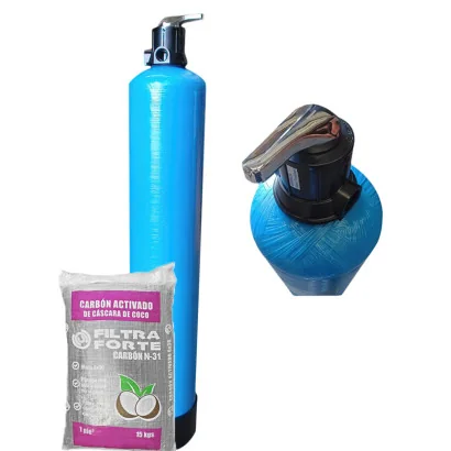 FILTRO 1 ft3 Carbón Activado Cascara de Coco N-31 Filtra Forte Válvula Manual