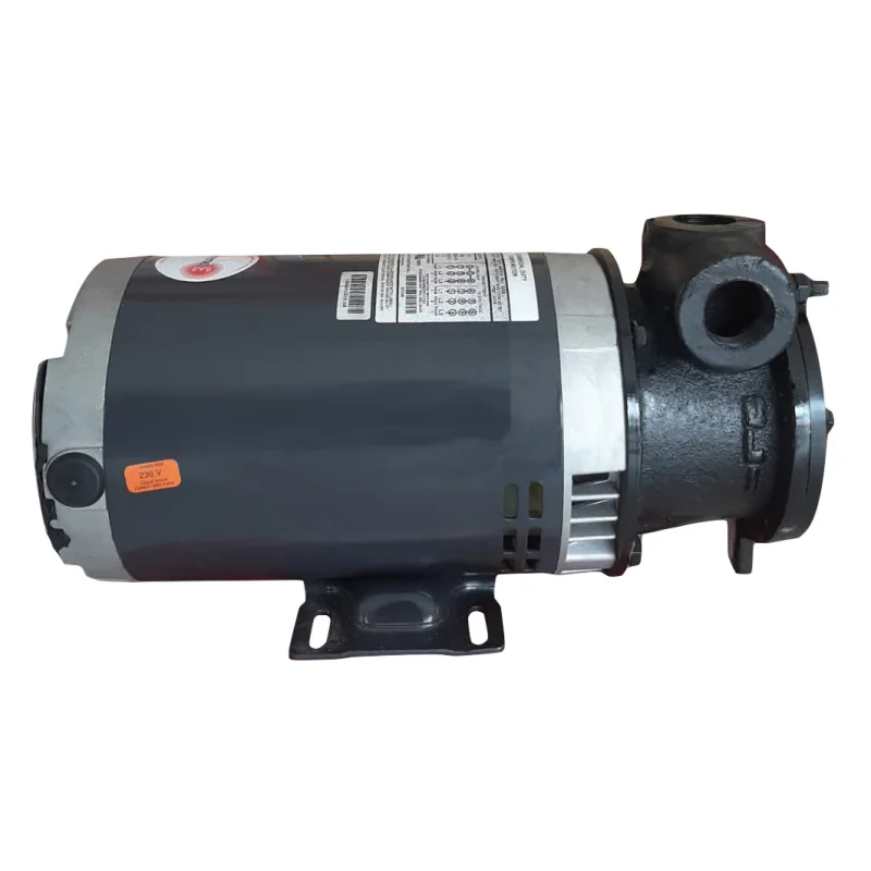 Bomba Inyección Caldera ML-1 Fierro y Bce. 2 HP 1"