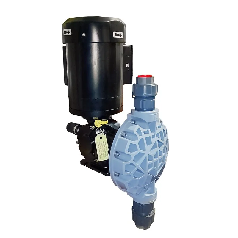 Bomba dosificadora Injecta Serie Taurus 155 LPH a 7 bar Control Manual
