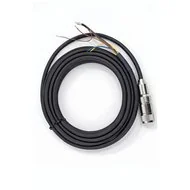 EXT CABLE 10 FT Cables p/sensor de proceso cuerpo de vidrio GT/GG/GC