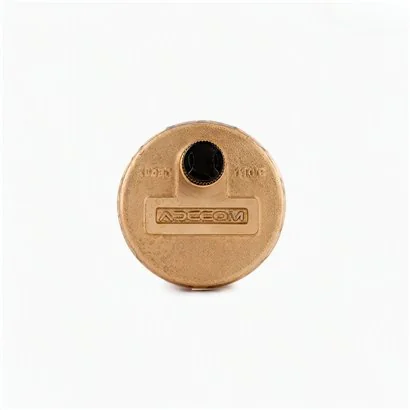 AVV54 TS 015 Válvula Automática de Ventilación de Aire 1/2"NPT AVV54 TS 015 Válvula Automática de Ventilación de Aire 1/2"NPT