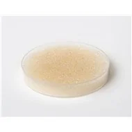 SBG1-OH Resina aniónica de base fuerte tipo 1 en forma OH