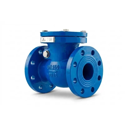 CHK33 YR 150 Válvula Check retención tipo columpio Hierro 6" Brida