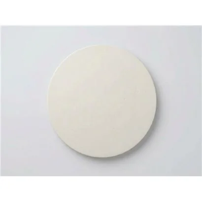 Diafragma PTFE - RTAM246M165PTFE para dosificadora injecta TM06165