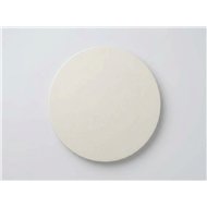 Diafragma PTFE - RTAM246M165PTFE para dosificadora injecta TM06165