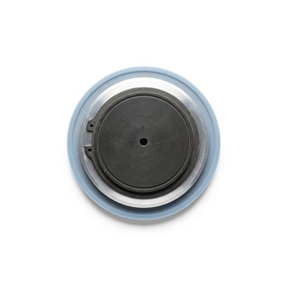 Diafragma PTFE - RTAM246M165PTFE para dosificadora injecta TM06165 Diafragma PTFE - RTAM246M165PTFE para dosificadora injecta TM06165