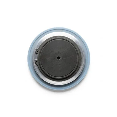 Diafragma PTFE - RTAM246M165PTFE para dosificadora injecta TM06165